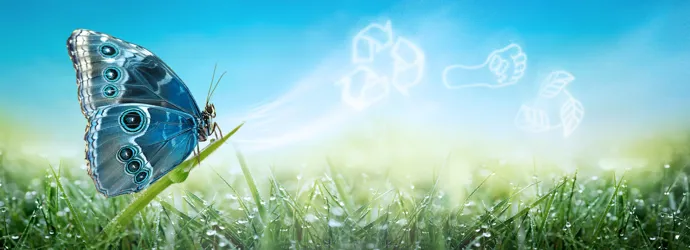 We’re finding ways to be more sustainable